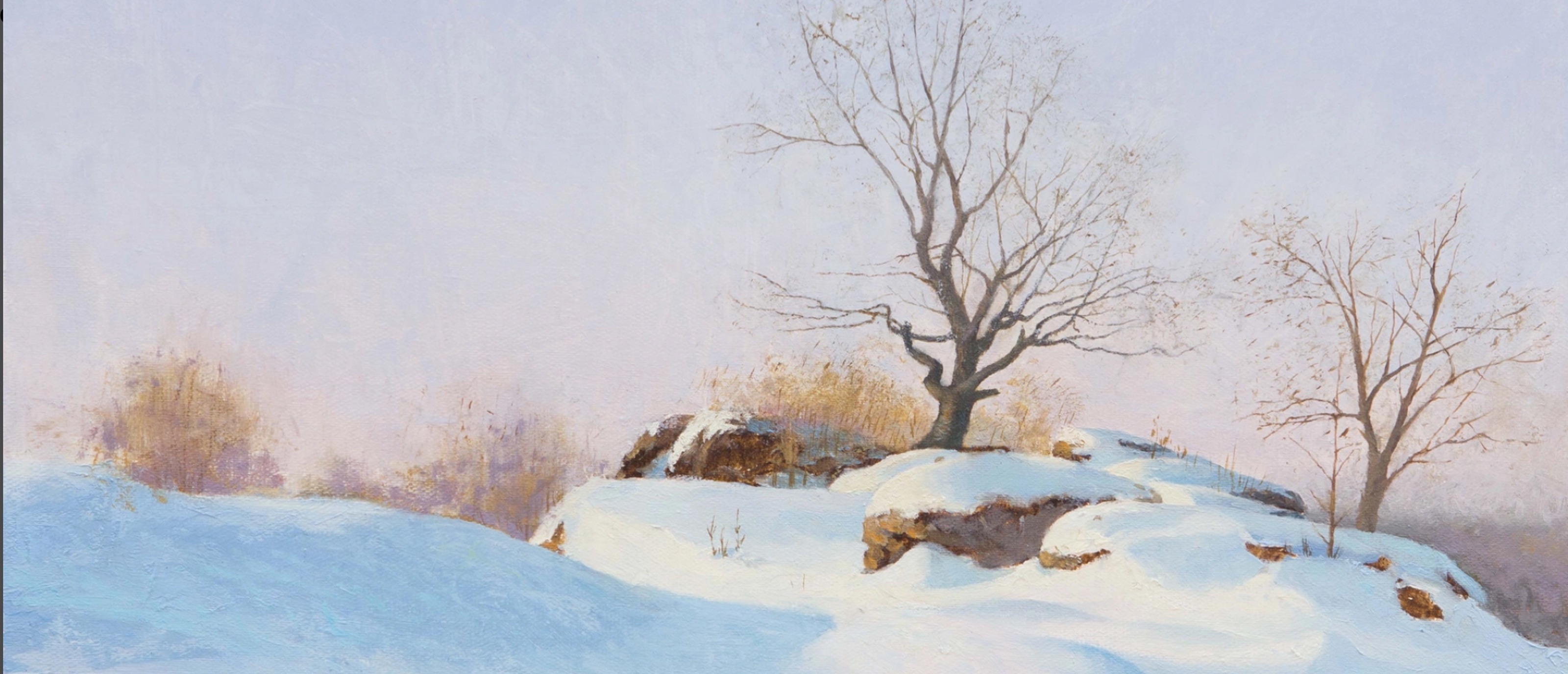 Vadim Goryanskiy / Winter mood / 2017